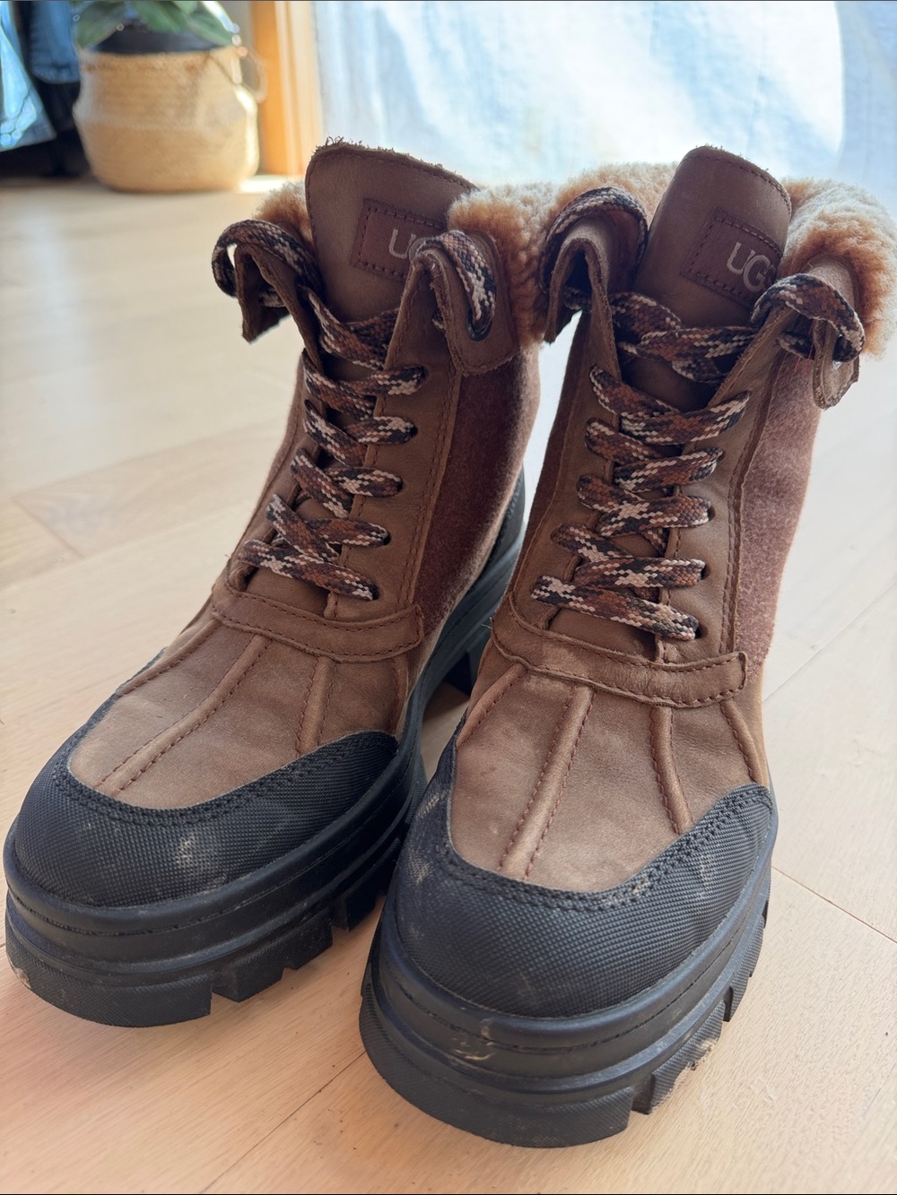 UGG - Picture 4 of 12